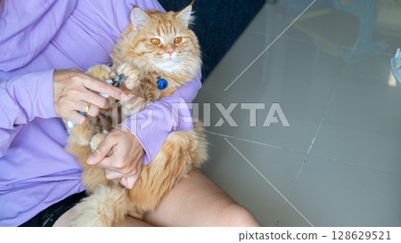 Woman hand trimming cat nails with a pet clipper, gently grooming her feline at home. 128629521