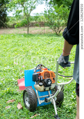 Gardener carefully mowing the green lawn with a modern lawn mower on a sunny day outdoors. 128629850