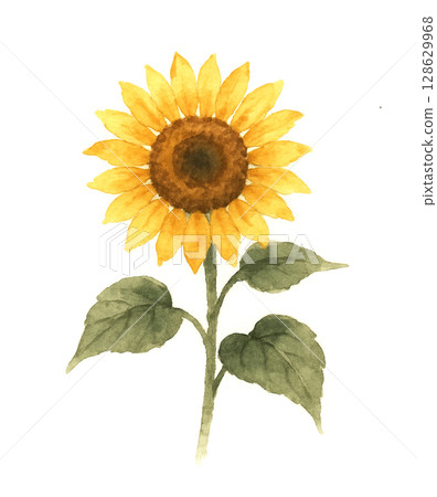 Japanese style watercolor sunflower painting Japanese style watercolor sunflower painting 128629968