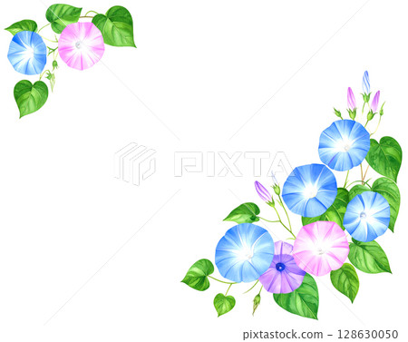 Watercolor morning glory illustration frame 128630050