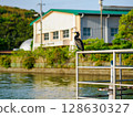 A resting cormorant 128630327