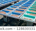 Sun-dried plums 128630331