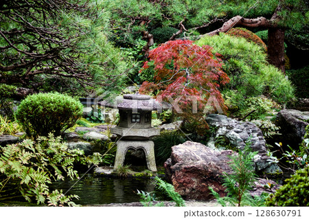 欣賞日本花園美麗多彩的風景 128630791