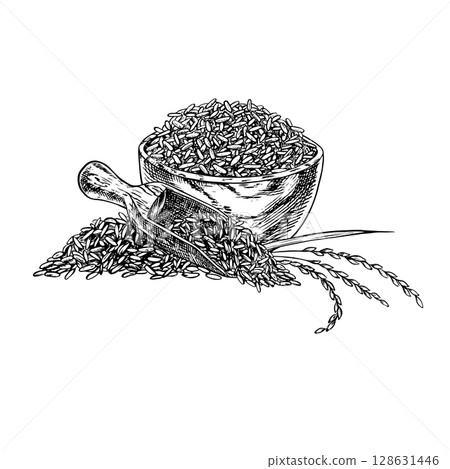 Rice or oats, wheat or rye in a wooden bowl, with rice stalks next to it. Black and white graphics, vector illustrations. Design element for menus, recipes, cookbooks. For banners, packaging, labels. 128631446