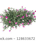 Colorful flowers on a white background 128633672