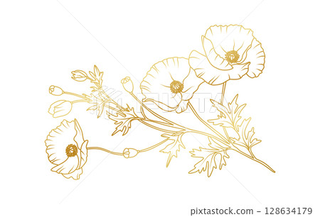 Golden poppy flowers line art isolated on white background. Luxury poppy floral design elements for invitation, wedding, wallpaper, print template, vector illustration 128634179