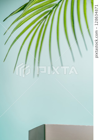 Minimal summer backdrop with podium and green palm leaf 128634871