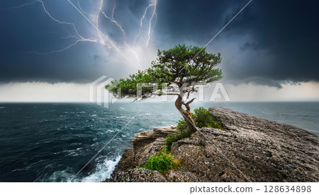 resilient tree stands alone on cliff during storm, showcasing strength against nature fury 128634898