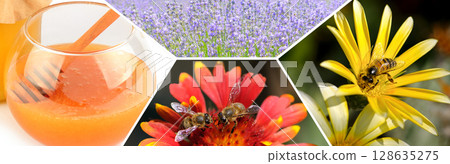 Bee honey in a jar,honey plants and a bee on a chamomile flower. Collage. 128635275