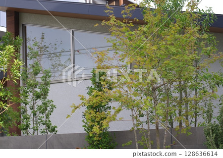 綠色花園 128636614