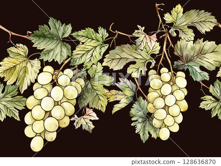 Seamless vector pattern with ripe grape 128636870
