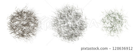 wild field grass, top view, isolated on a transparent background, 3D illustration, cg render wild field grass, top view, isolated on a transparent background, 3D illustration, cg render 128636912