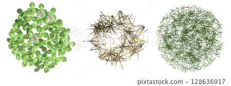 wild field grass, top view, isolated on a transparent background, 3D illustration, cg render wild field grass, top view, isolated on a transparent background, 3D illustration, cg render 128636917