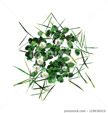 wild field grass, top view, isolated on a transparent background, 3D illustration, cg render wild field grass, top view, isolated on a transparent background, 3D illustration, cg render 128636919