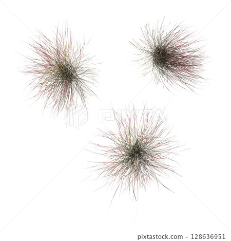 wild field grass, top view, isolated on a transparent background, 3D illustration, cg render wild field grass, top view, isolated on a transparent background, 3D illustration, cg render 128636951