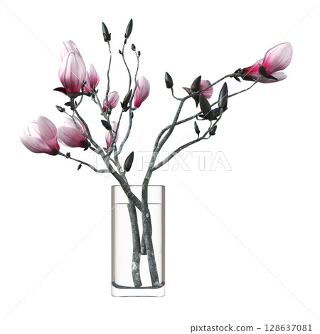 decorative flower in a pot isolate on a transparent background, 3D illustration, cg render 128637081
