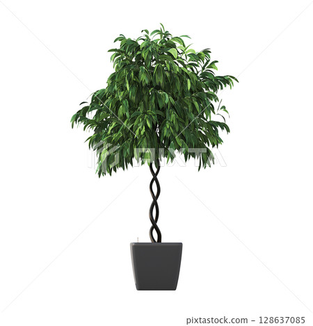decorative flower in a pot isolate on a transparent background, 3D illustration, cg render 128637085