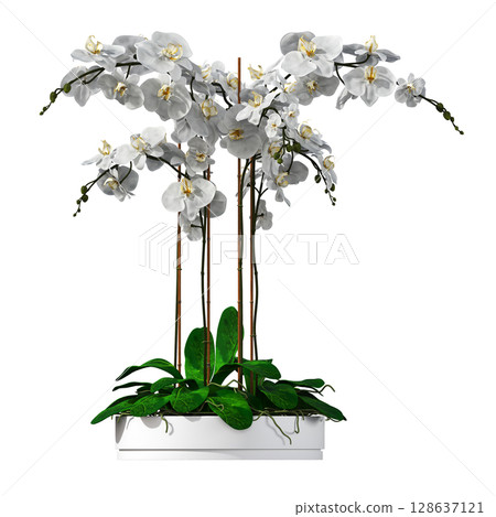 decorative flower in a pot isolate on a transparent background, 3D illustration, cg render decorative flower in a pot isolate on a transparent background, 3D illustration, cg render 128637121