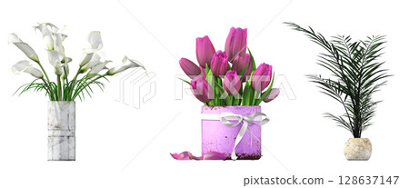 decorative flowers and plants for the interior, isolated on transparent background, 3D illustration, cg render decorative flowers and plants for the interior, isolated on transparent background, 3D illustration, cg render 128637147