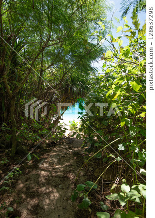 Entrance to the beach 128637298