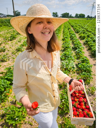 Farmer holding freshly picked strawberries in basket at pick your own farm Farmer holding freshly picked strawberries in basket at pick your own farm 128637334