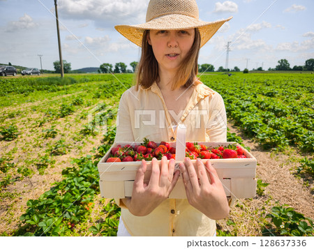 Farmer holding basket of freshly picked strawberries in field Farmer holding basket of freshly picked strawberries in field 128637336