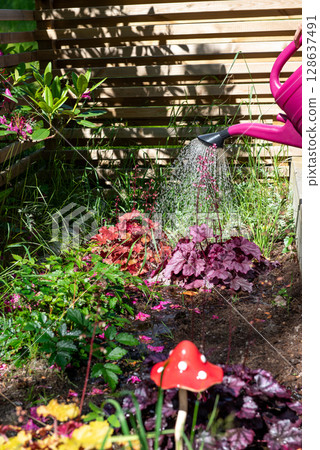 Watering the flowers growing in a raised bed using a watering can. 128637491