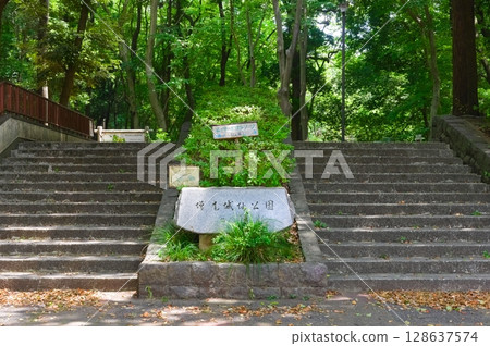 Around Masuo Castle Ruins Park, Kashiwa City, Chiba Prefecture July 2025 128637574