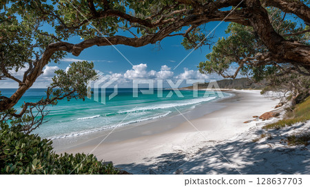 An open daytime scene of lush sandy beaches and clear blue waters 128637703