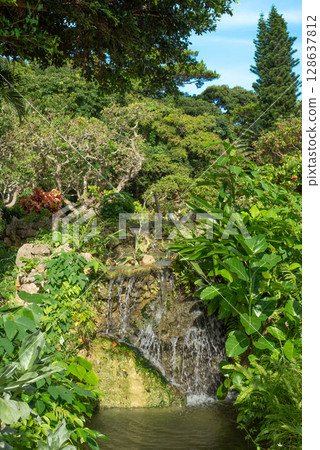 Miyakojima Tropical Botanical Garden 128637812