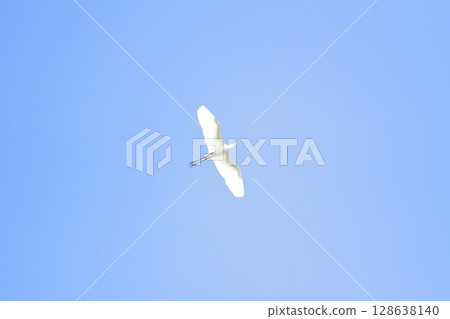 藍天和白鷺 128638140