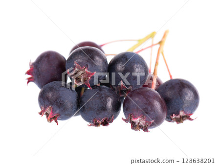 Serviceberry isolated on white background. Saskatoon, amelanchier, shadbush, juneberry, irga or sugarplum ripe berries. 128638201