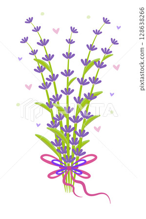 Bouquet of lavender with a bow, colorful illustration 128638266