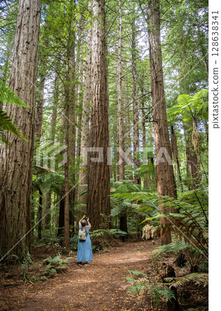 Woman looking up and admiring huge trees in redwood forest, Rotorua, New Zealand Woman looking up and admiring huge trees in redwood forest, Rotorua, New Zealand 128638341