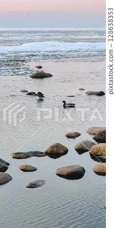 Tranquil scene of ducks gliding through calm lake amid large rocks and ice formations, with serene horizon at sunset. Captures peaceful natural winter environment. Vertical photo 128638353