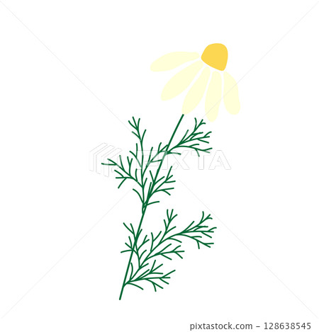 Wild and garden flowers, leaves. Modern vector botanical illustrations in trendy bright colors on white background. hand drawn floral design elements 128638545