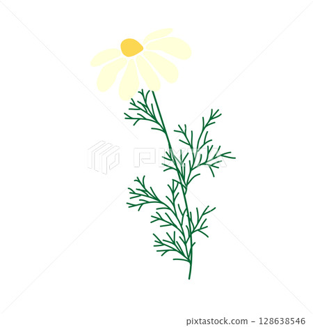 Wild and garden flowers, leaves. Modern vector botanical illustrations in trendy bright colors on white background. hand drawn floral design elements 128638546