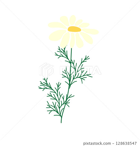 Wild and garden flowers, leaves. Modern vector botanical illustrations in trendy bright colors on white background. hand drawn floral design elements 128638547