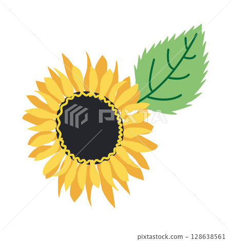 Wild and garden flowers, leaves. Modern vector botanical illustrations in trendy bright colors on white background. hand drawn floral design elements Wild and garden flowers, leaves. Modern vector botanical illustrations in trendy bright colors on white background. hand drawn floral design elements 128638561