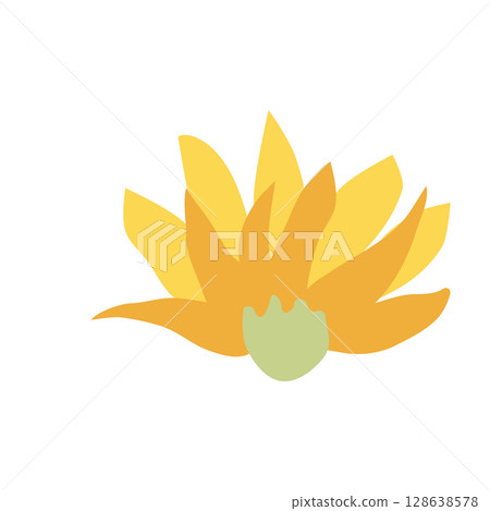 Wild and garden flowers, leaves. Modern vector botanical illustrations in trendy bright colors on white background. hand drawn floral design elements Wild and garden flowers, leaves. Modern vector botanical illustrations in trendy bright colors on white background. hand drawn floral design elements 128638578