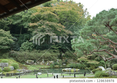 青蓮院相阿彌庭園（京都市東山區） 128638978