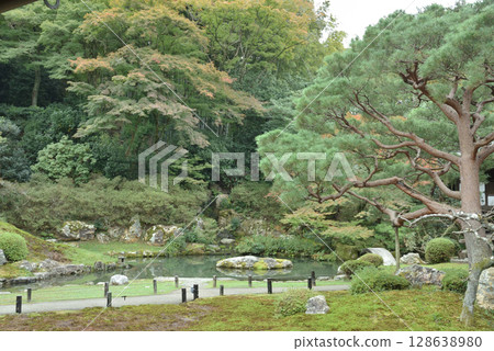 青蓮院相阿彌庭園(京都市東山區) 青蓮院相阿彌庭園(京都市東山區) 128638980