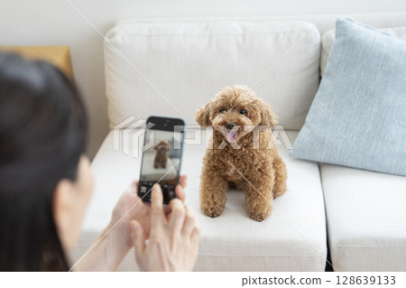 使用智慧型手機為你的狗拍照的圖片 使用智慧型手機為你的狗拍照的圖片 128639133