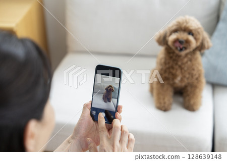 A woman's hands taking a photo of her pet dog with a smartphone A woman's hands taking a photo of her pet dog with a smartphone 128639148