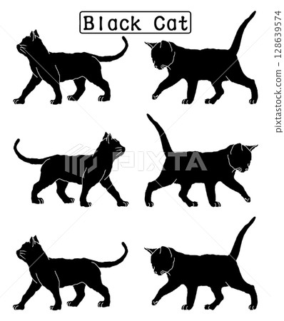 Cat Cat 128639574
