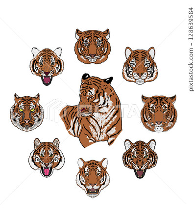 一隻老虎 128639584