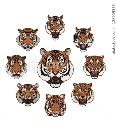 一隻老虎 128639586