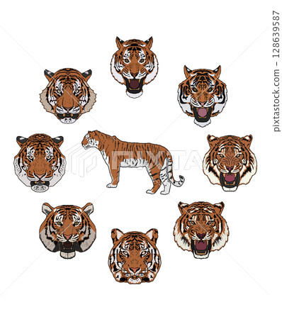 一隻老虎 128639587