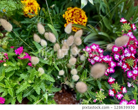 一個種植各種顏色和品種的鮮花的花壇。 128639930
