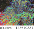 tropical palm tree 128640221